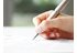 Pedro Alves to head up SITA Borders