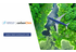 Airline AZAL partners with CarbonClick to fully integrated carbon offsetting