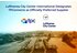 TPConnects becomes Lufthansa City Center International as Preferred Supplier