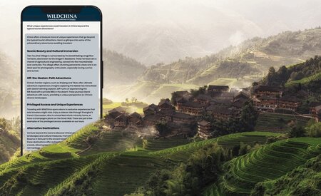 WildChina’s new AI Travel Assistant now live